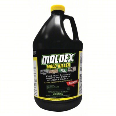 MOLDEX - Mold Killer (1 Gal)